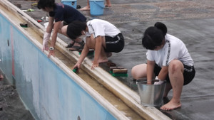 Dscf6554