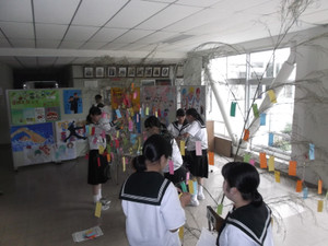 Dscf6591