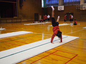 P1071066_2 P1071066_2