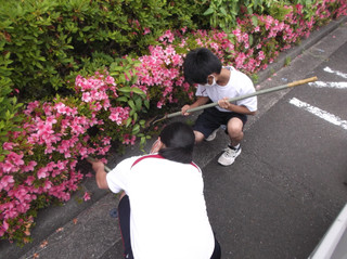 Dscf7232_2