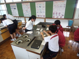Img_20250611_104709